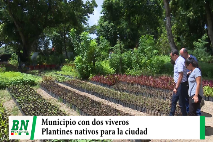 Lee más sobre el artículo El Municipio cuenta con dos viveros que producen plantines nativos