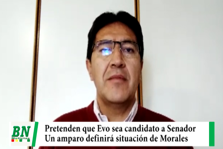 Lee más sobre el artículo Denuncian que con un Amparo Constitucional buscan que Evo Morales sea candidato a Senador por el MAS