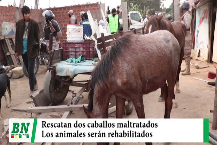 Lee más sobre el artículo Rescatan dos caballos que eran maltratados por el Barrio Lujan, y estaban en malas condiciones