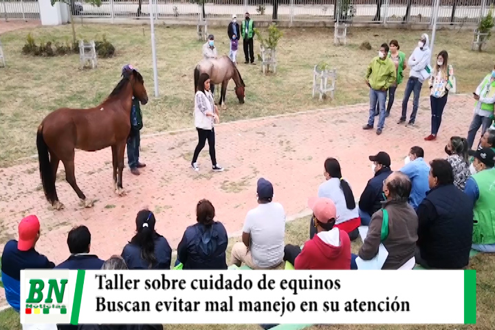 Lee más sobre el artículo Instruyen sobre el cuidado de caballos y su atención, ante las constantes denuncias de maltrato animal