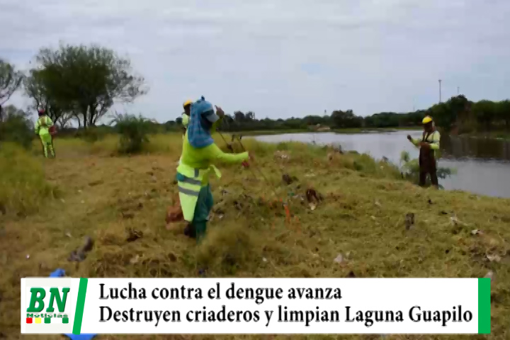 Lee más sobre el artículo Lucha contra el dengue se mantiene con fumigación y destrucción de criaderos, limpian Laguna