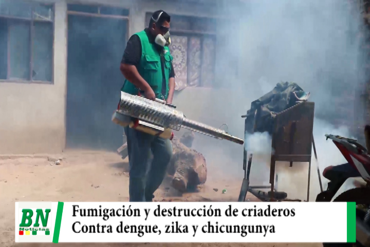 Lee más sobre el artículo Destruyen criaderos de mosquito y fumiga hogares, evitan sindemia