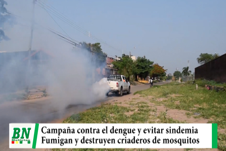 Lee más sobre el artículo Destruyen criaderos de mosquitos y fumigan en los barrios por el dengue para evitar sindemia