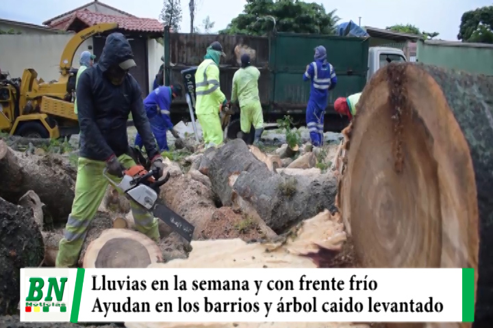 Lee más sobre el artículo Lluvias seguirán en la semana con ingreso de frente frio, DEM ayuda en barrios y levantan árbol