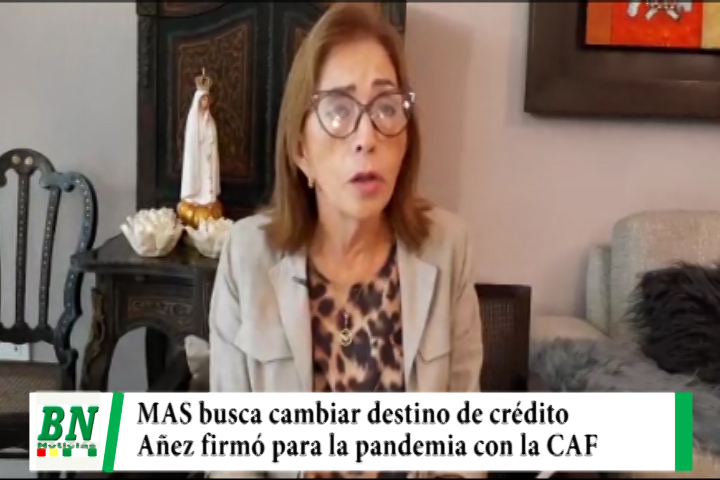 Lee más sobre el artículo Creemos denuncia que el MAS busca cambiar destino de crédito de la CAF que Añez firmó para pandemia