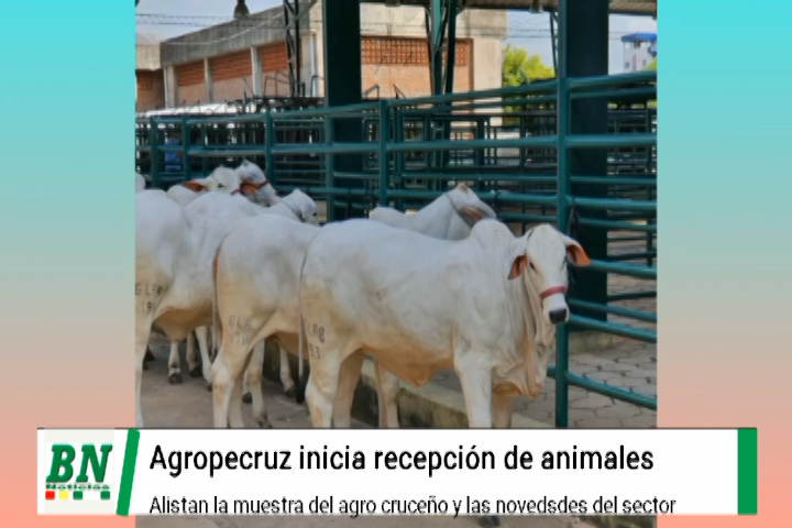 Lee más sobre el artículo Ingresa ganado a Expocruz y Asocebu inicia actividades para agropecruz 2021