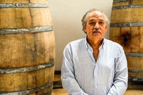 Lee más sobre el artículo Enólogo Nelson Sfarcich: “Estamos enfocados en crear vinos de alta gama como el Marselan”