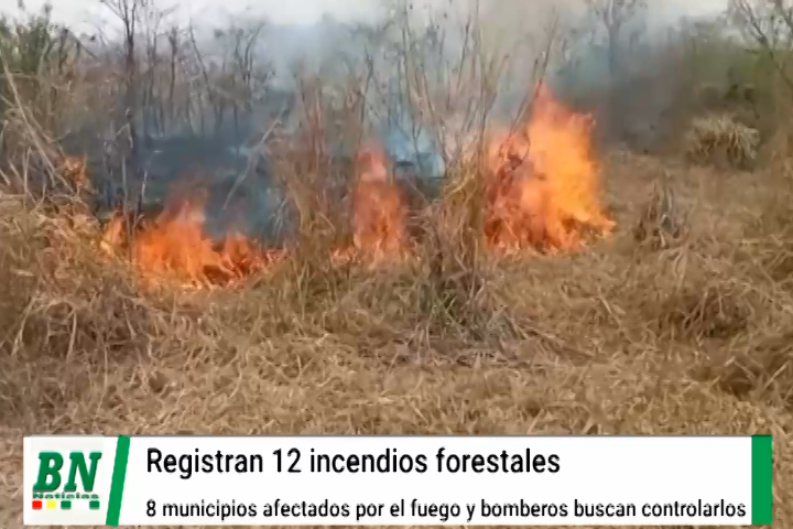 Lee más sobre el artículo Se registran 12 incendios forestales en 8 municipios