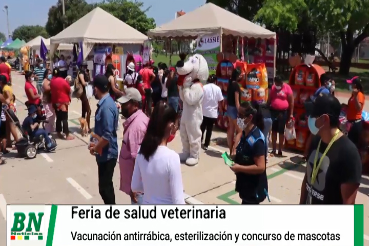 Lee más sobre el artículo Feria de la salud veterinaria con atención, esterilización y concurso canino