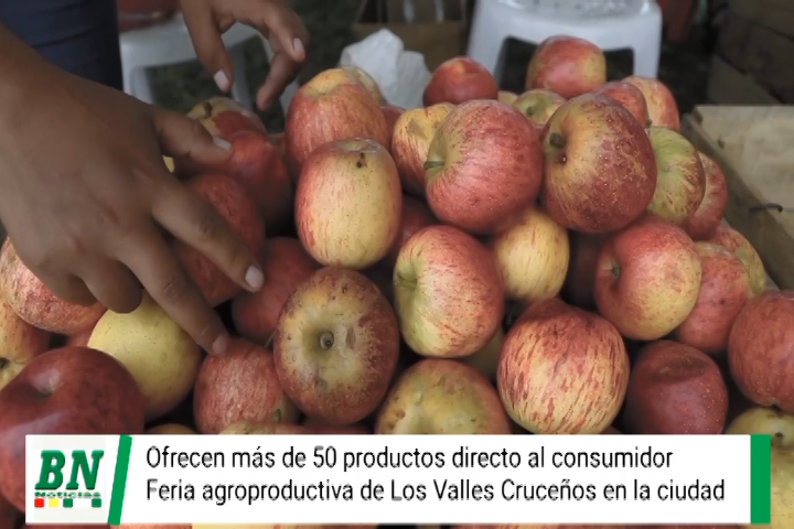 Lee más sobre el artículo Gobernación impulsa Feria agroproductiva de los Valles cruceños en la capital, Más de 50 productores ofreciendo su cosecha directamente al consumidor
