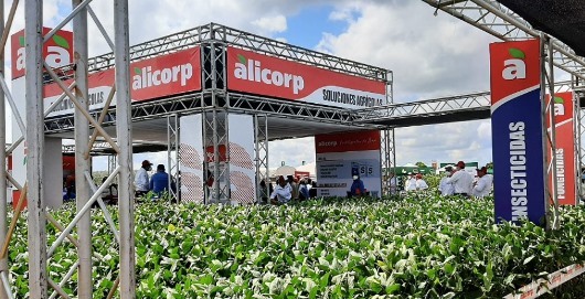 Lee más sobre el artículo Exposoya 2022: ALICORP presentó un amplio portafolio de servicios y productos para sus aliados estratégicos del agro