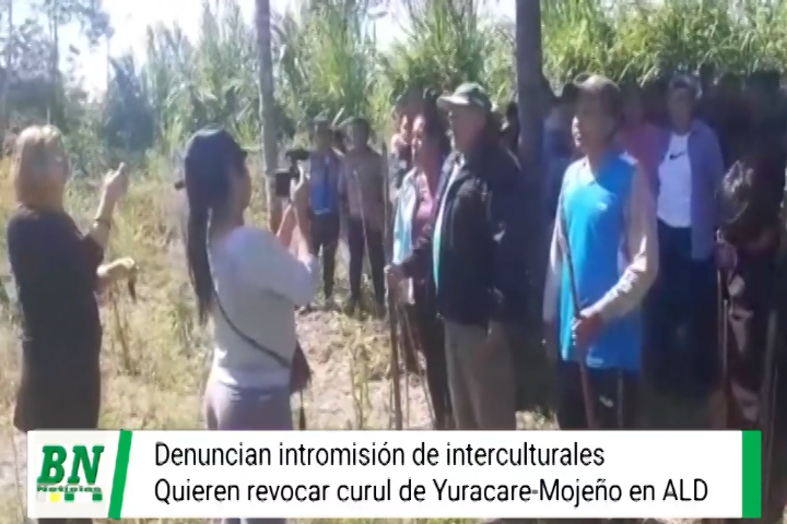 Lee más sobre el artículo Bancada Indígena el ALD se solidariza con Yuracaré-Mojeño y denuncia que Interculturales buscan revocar curul