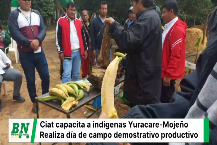 Lee más sobre el artículo CIAT realizó un día de campo demostrativo a productores de la comunidad Tres Lagunas del pueblo Yuracaré Mojeño