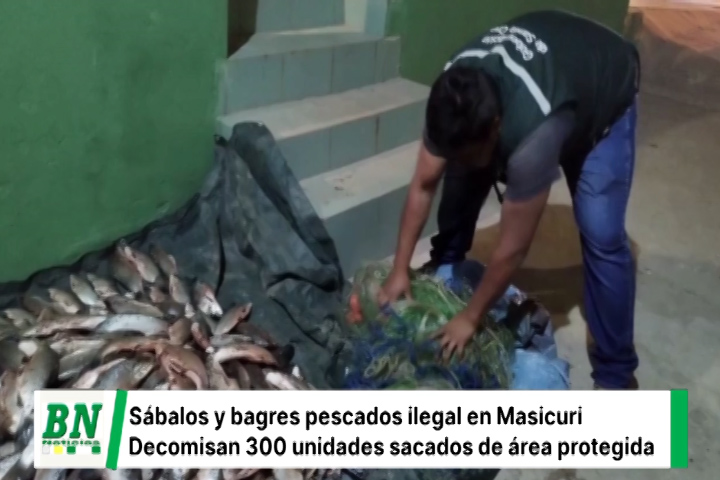 Lee más sobre el artículo Decomisan 300 peces extraídos ilegalmente de un área protegida