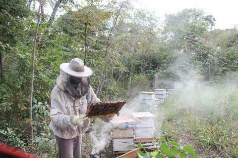 Lee más sobre el artículo “Adopta una colmena”: la iniciativa mundial que protege las abejas suma el apoyo de Los Tajibos
