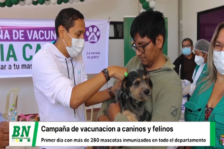 Lee más sobre el artículo Exitosa campaña de vacunación con más de 500 mil mascotas vacunadas contra la rabia a caninos y felinos, se extiende a dos semanas