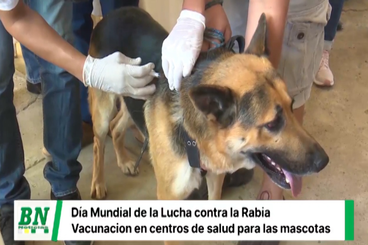 Lee más sobre el artículo Alcaldía te recuerda que podés vacunar a tus mascotas en los centros municipales