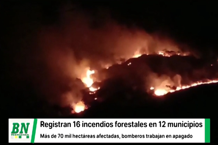 Lee más sobre el artículo Registran 16 incendios forestales en 12 provincias y daño llega a más de 70 mil hectáreas, Gobernación y Gobierno coordinan trabajos