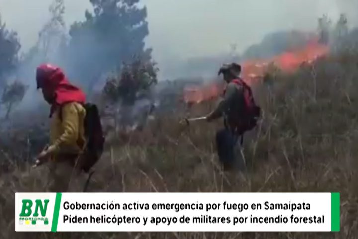 Lee más sobre el artículo Incendios forestales bordean El Fuerte de Samaipata y Gobernación activa plan para atender la emergencia