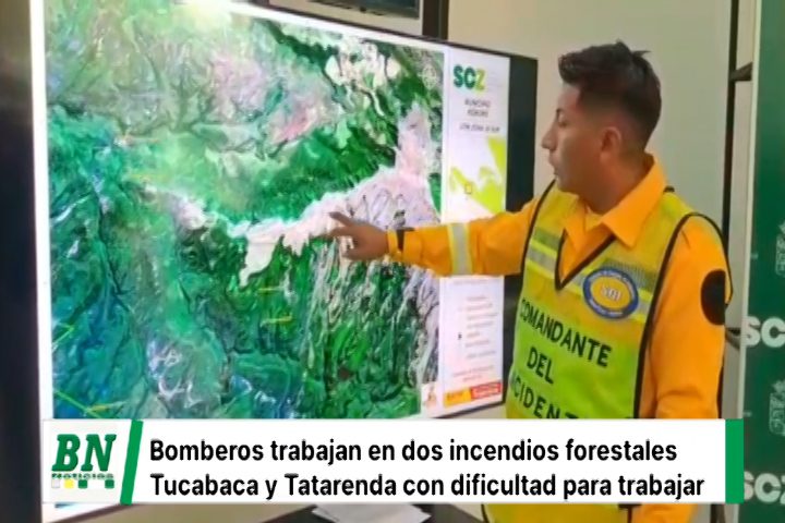 Lee más sobre el artículo Bomberos combaten el fuego en Tucabaca y Tatarenda