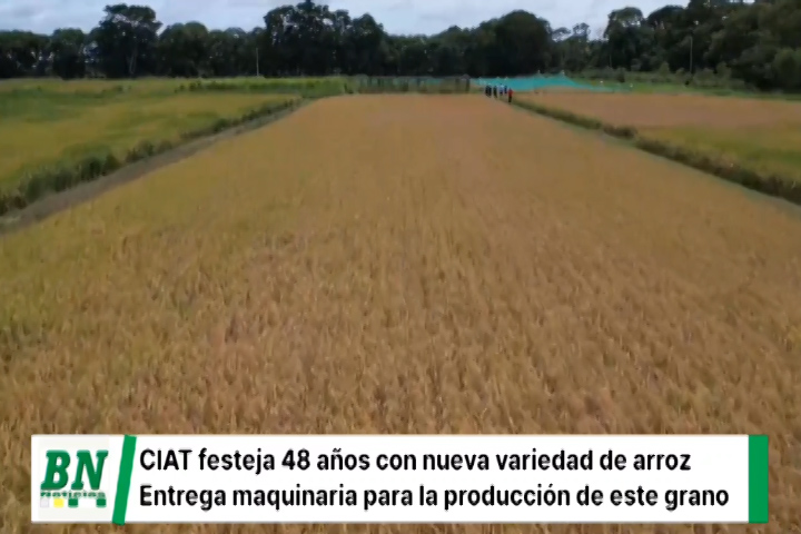 Lee más sobre el artículo CIAT celebra 48 años de vida con la presentación de una nueva variedad de arroz y la entrega de maquinaria para la siembra de este grano
