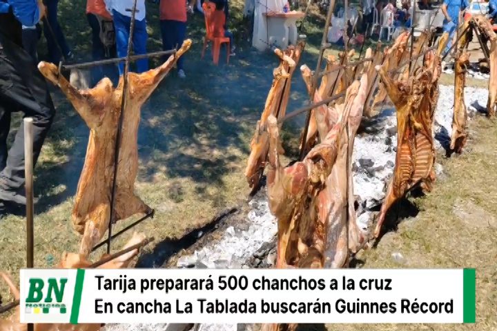 Lee más sobre el artículo Tarija alista 500 chanchos a la cruz y conseguir el Guinnes Récord, la actividad se la realizará en la cancha La Tablada
