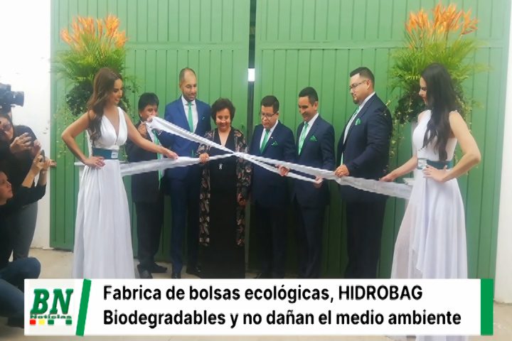 Lee más sobre el artículo Hidrobag Bolivia revoluciona el mercado con las innovadoras bolsas orgánicas que preservan el medio ambiente
