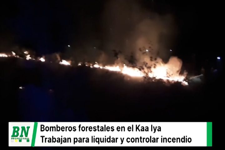 Lee más sobre el artículo Bomberos de la Gobernación continúan trabajando para liquidar el fuego en Kaa-Iya