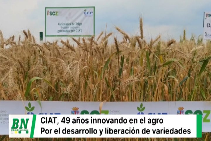 Lee más sobre el artículo El CIAT celebra 49 años de compromiso con la innovación agrícola y el desarrollo sostenible