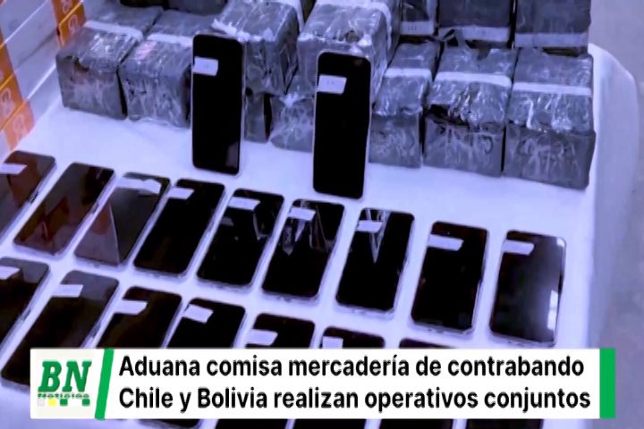 Lee más sobre el artículo Operativo conjunto: La Aduana Nacional comisa mercancía Ilegal valorada en más de 748 mil bolivianos